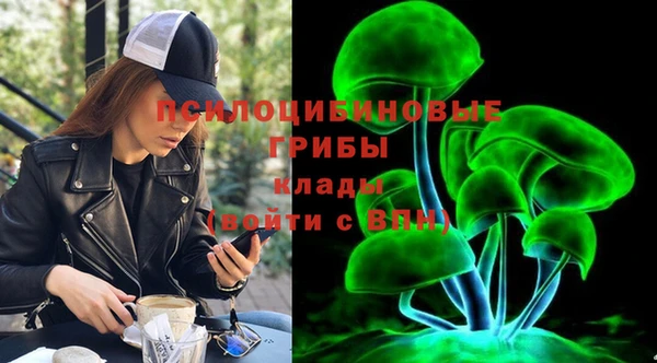 mdma Дмитриев