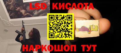 винт Донецк