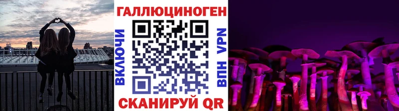 darknet телеграм  Миллерово  Псилоцибиновые грибы мухоморы  наркота 
